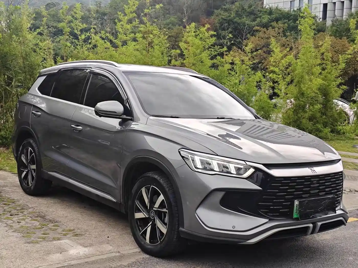 BYD Song Pro New Energy 2024 Glory Edition DM-i 71KM Pilot фото 3