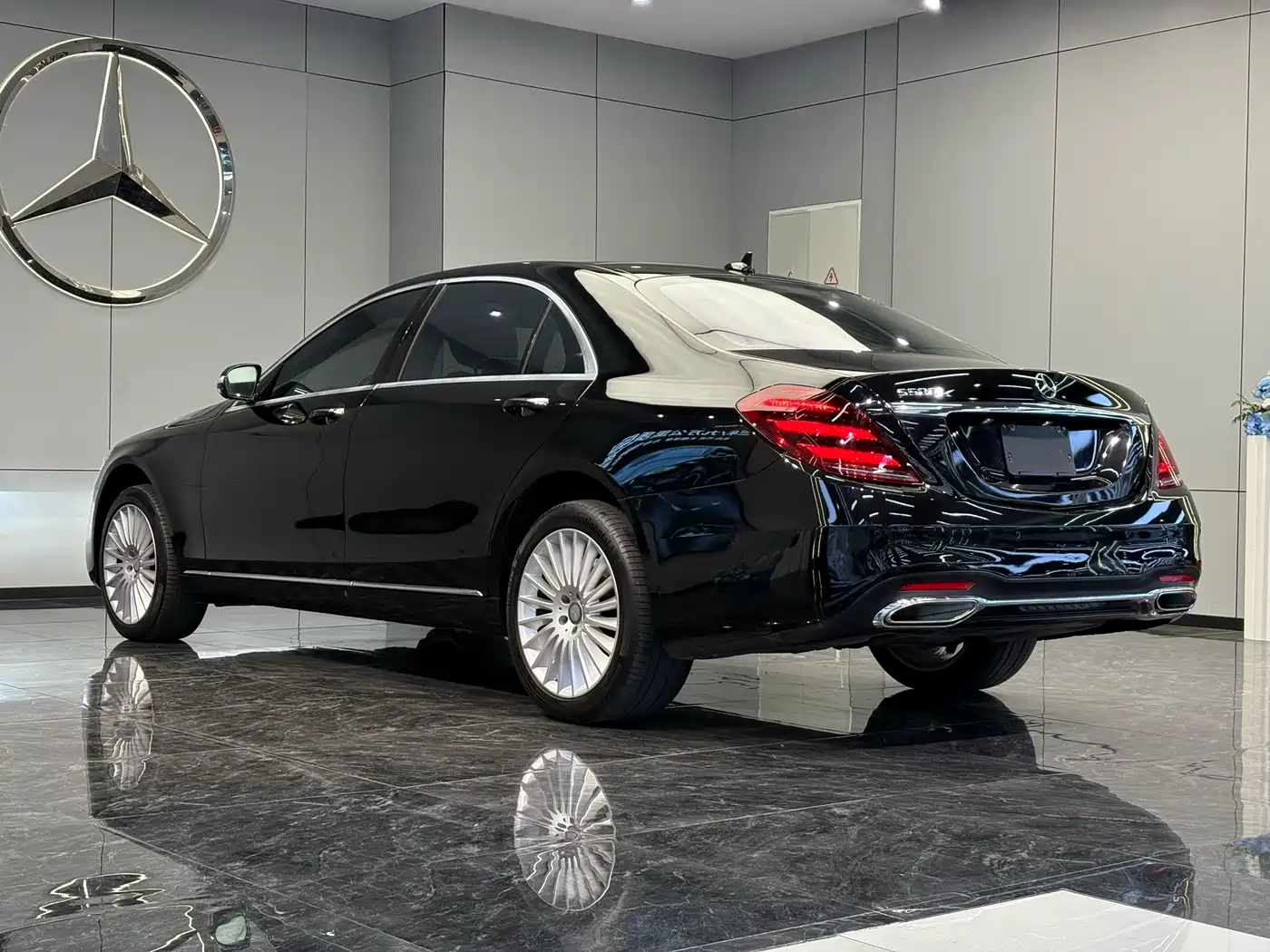 Mercedes-Benz S-Class 2014 S 500 L фото 9