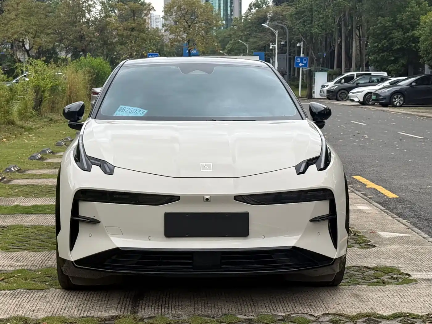 ZEEKR EXTREME KRYPTON X