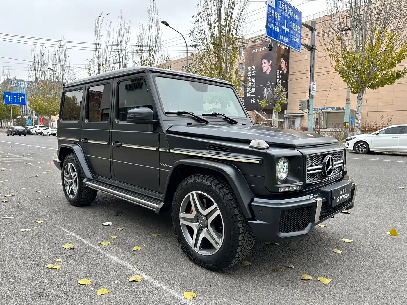 Mercedes-Benz G-Class AMG 2013 AMG G 65 фото 4