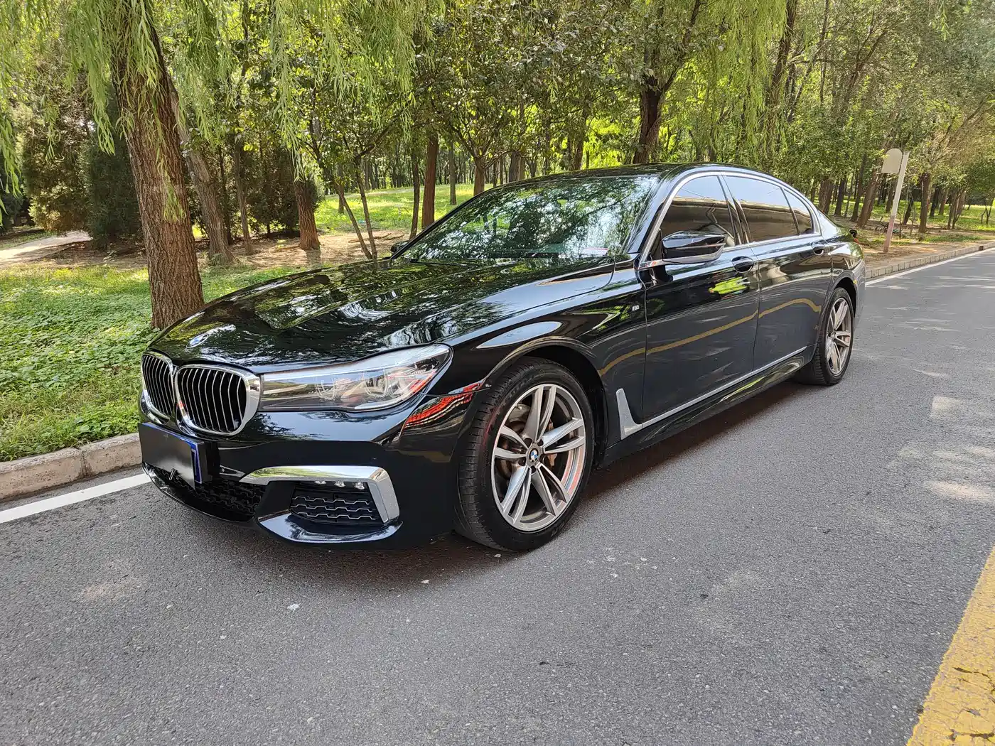 BMW 7 Series 2018 730Li Leading Type Excellence Package