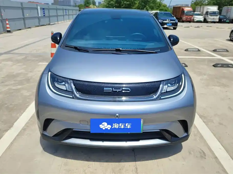 BYD Dolphin 2023 420km Fashion Edition фото 2