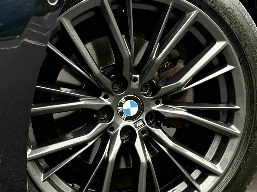 BMW 3 Series 2021 Facelift 325Li M Sport Shadow Edition фото 19