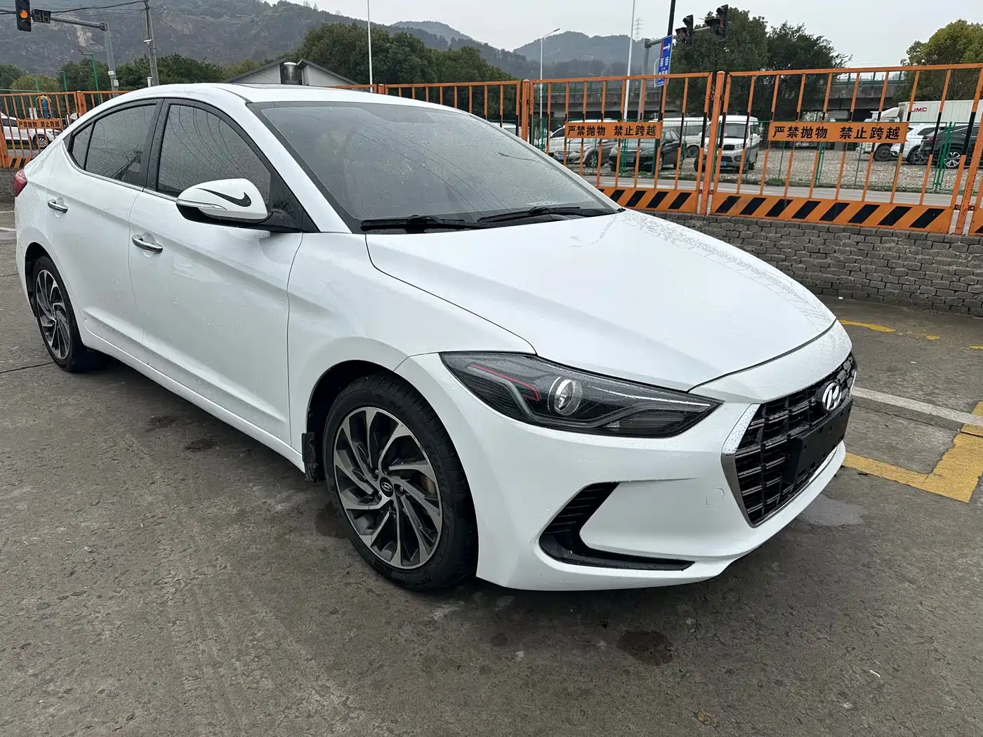 HYUNDAI LEAD