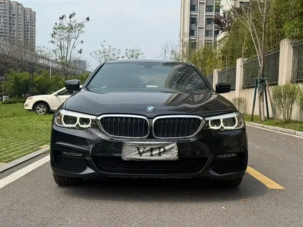 BMW 5 Series 2019 525Li M Sport Package фото 2