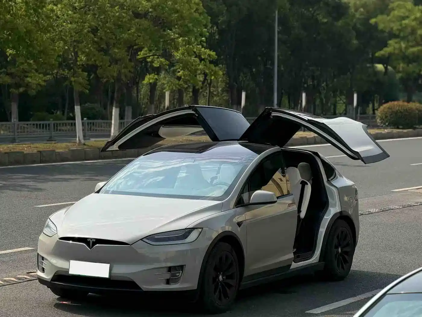 TESLA MODEL X