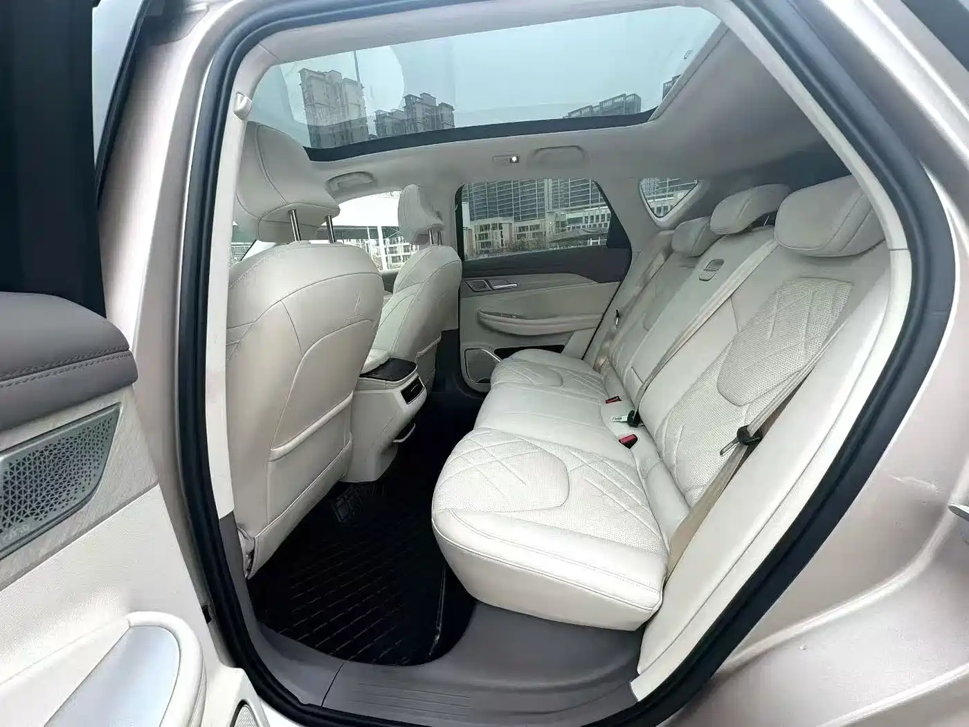 ARCFOX EXTREME FOX POLAR FOX ALPHA T6