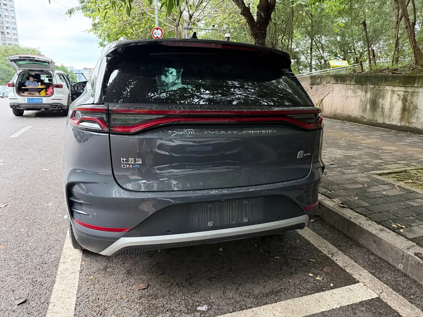 BYD Tang New Energy 2022 DM-p 215KM AWD Flagship фото 9
