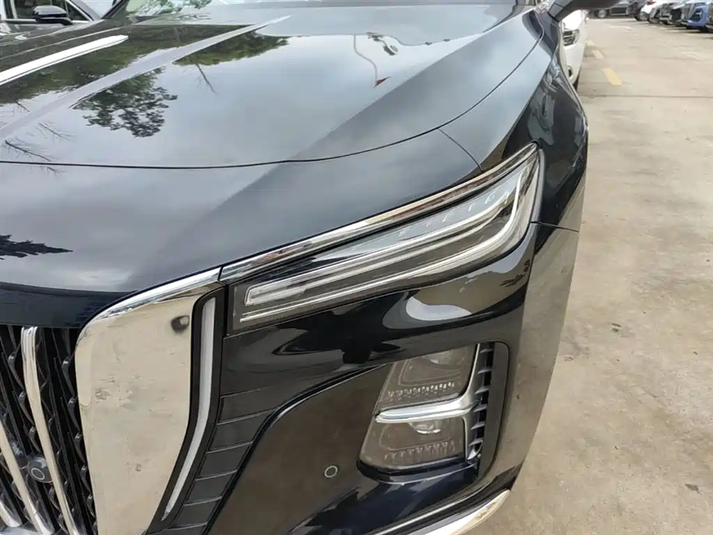 Hongqi H5 2025 2.0T Automatic Qixiang 500,000 Units Commemorative Edition фото 24