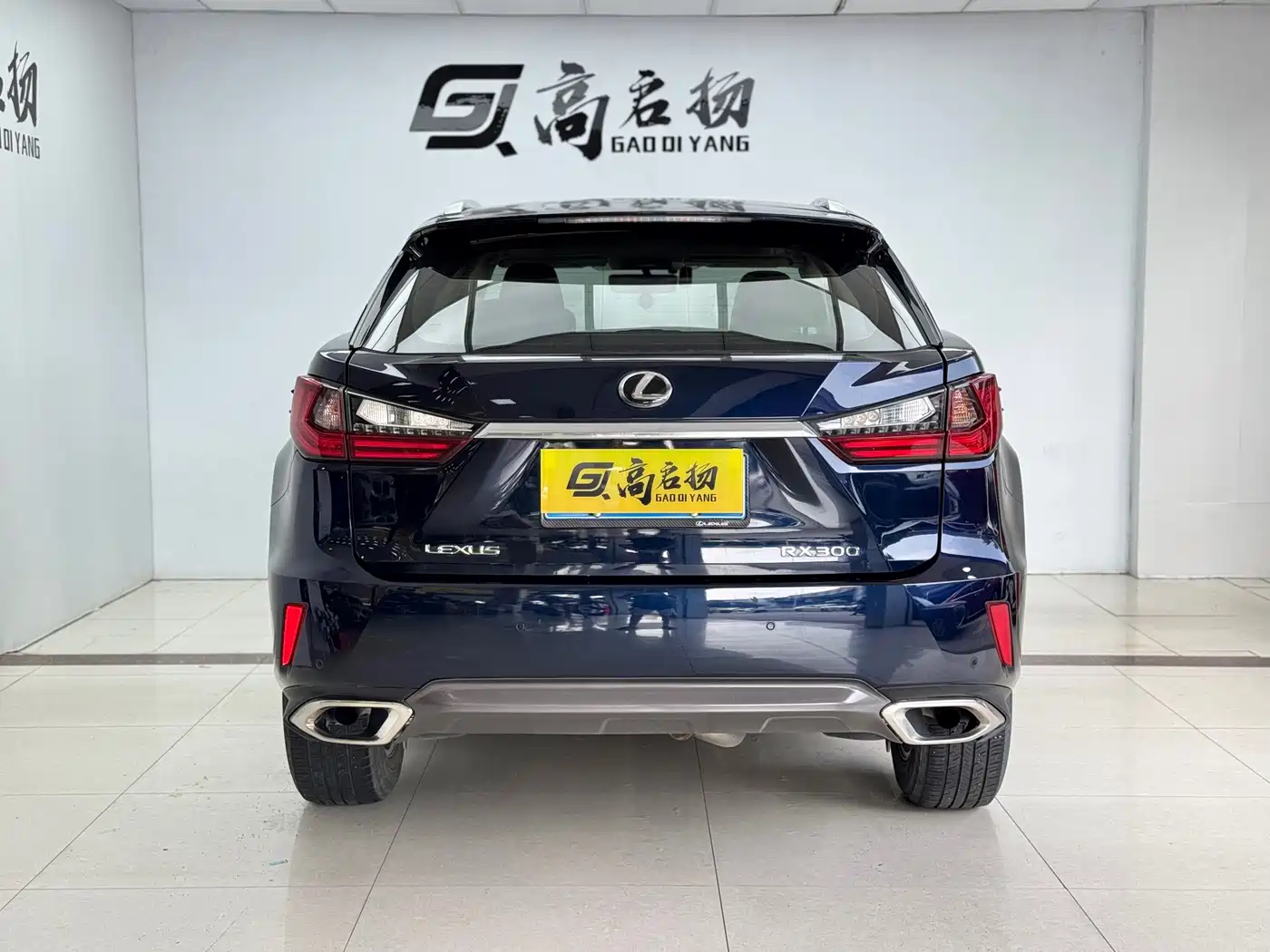Фото 26 - Lexus RX