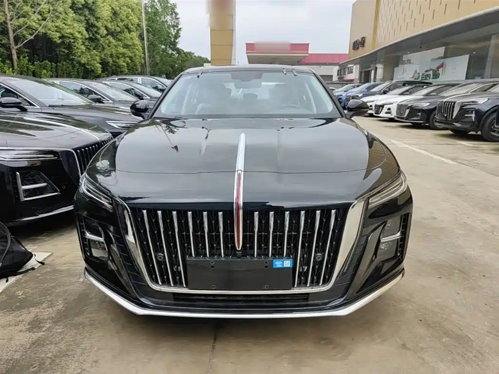 Hongqi H5 2025 2.0T Automatic Qixiang 500,000 Units Commemorative Edition фото 3