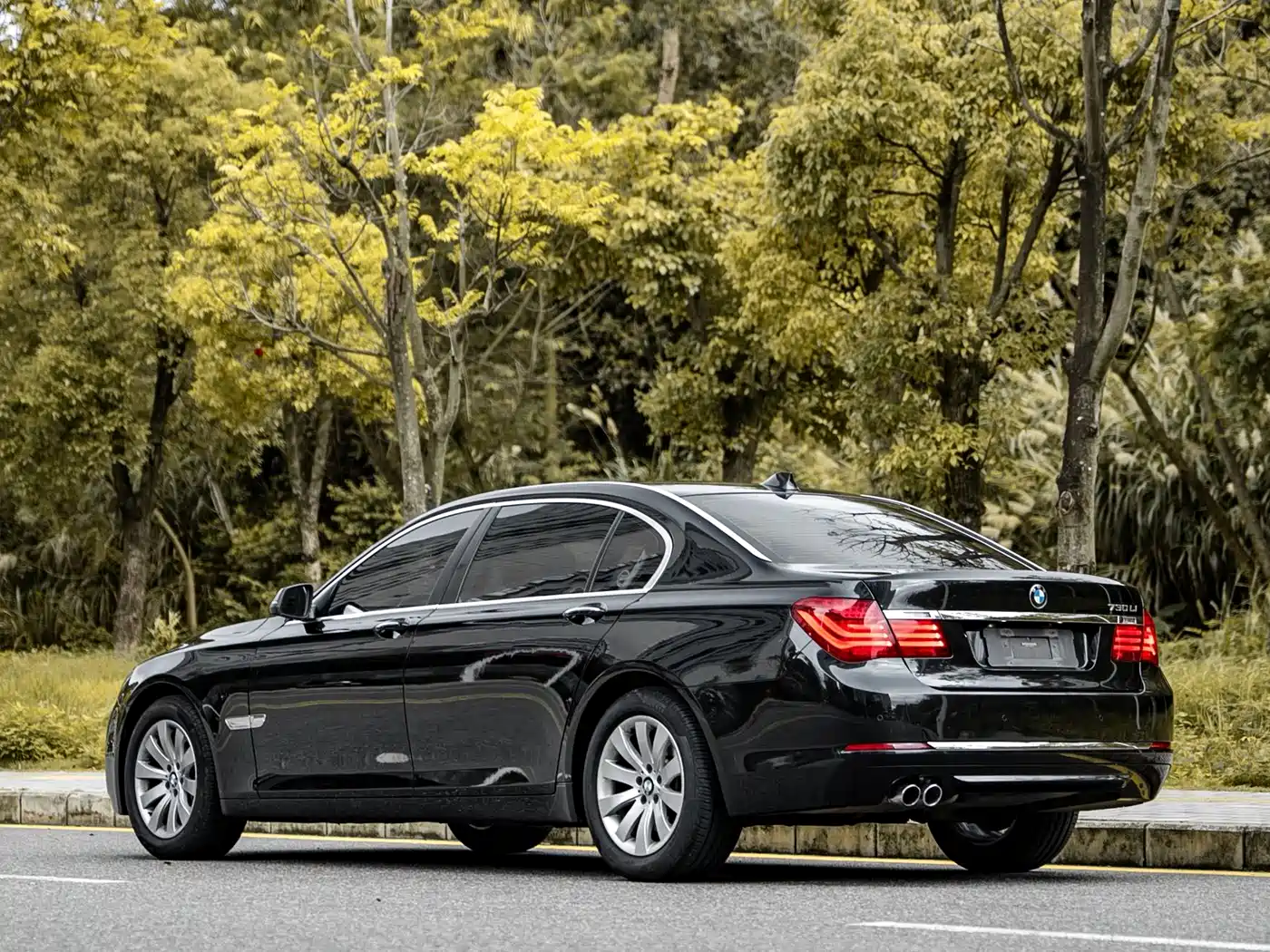 BMW 7 Series 2013 Model 730Li Leading фото 14