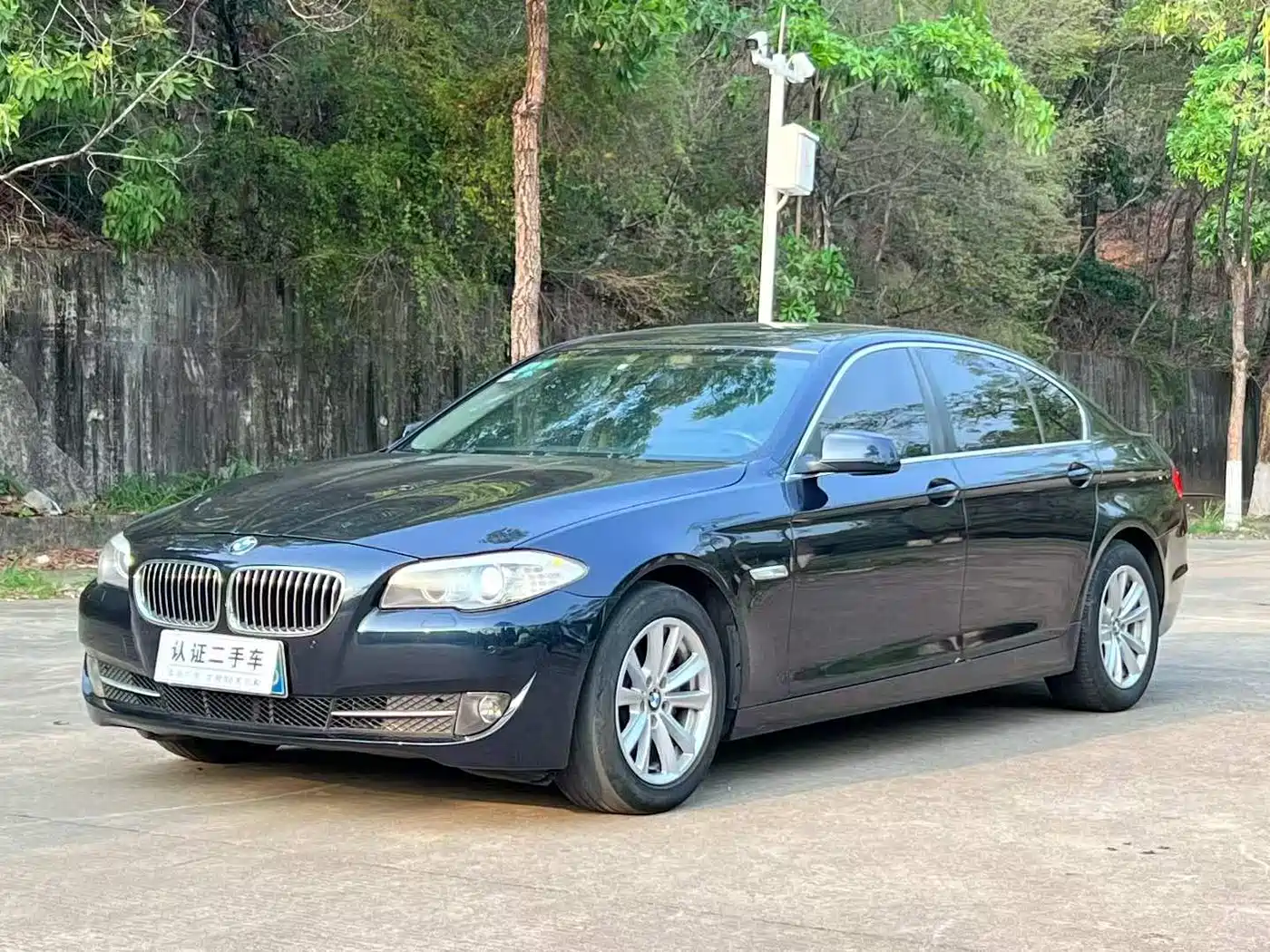 BMW 5 Series 2013 525Li Leadership