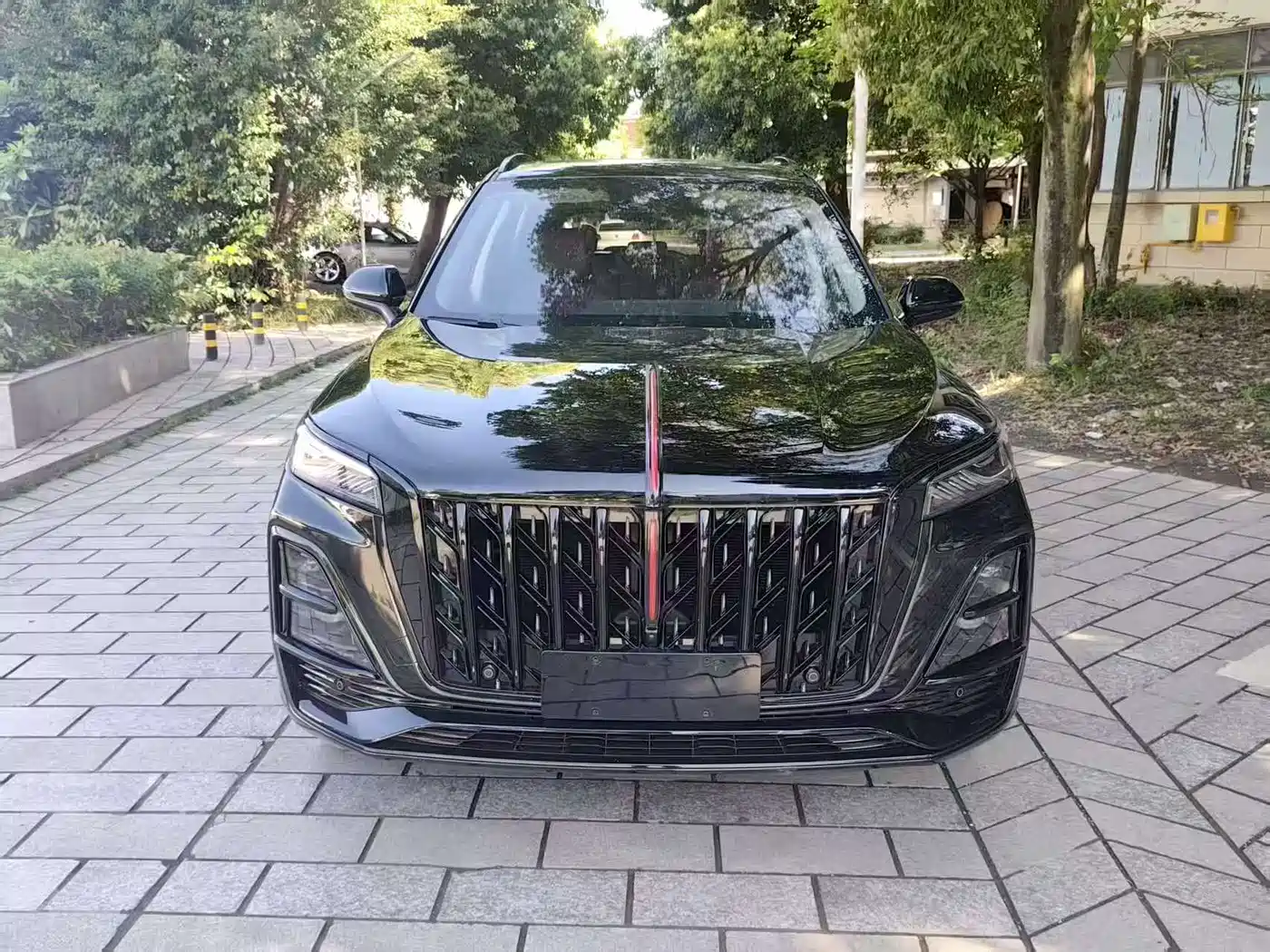 Hongqi HS5 2025 2.0T 2WD Mystic Shadow Edition фото 2