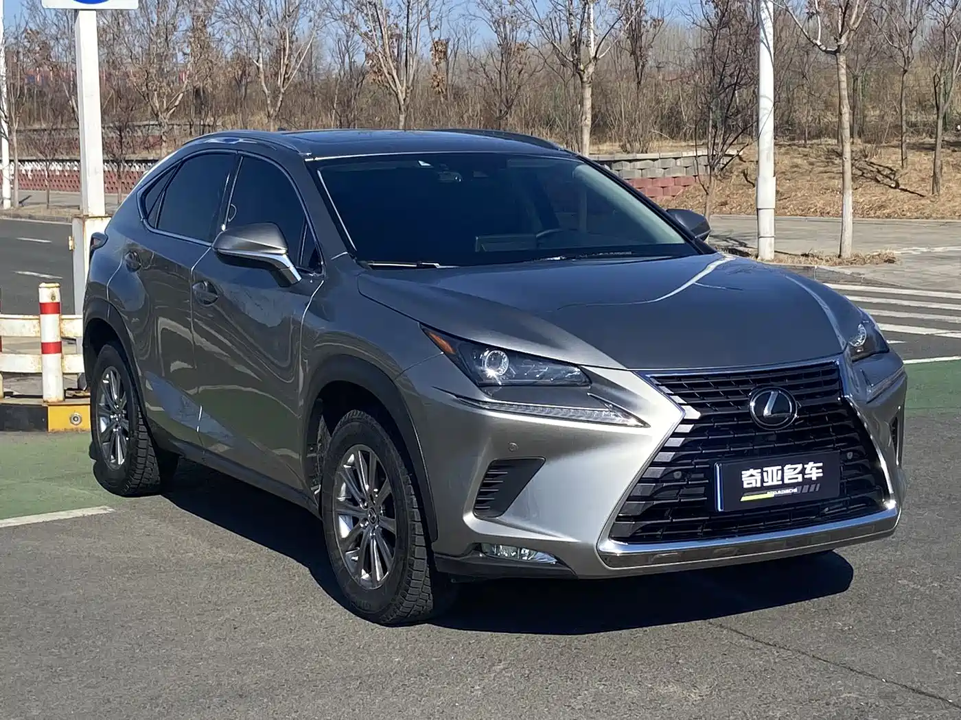 LEXUS NX
