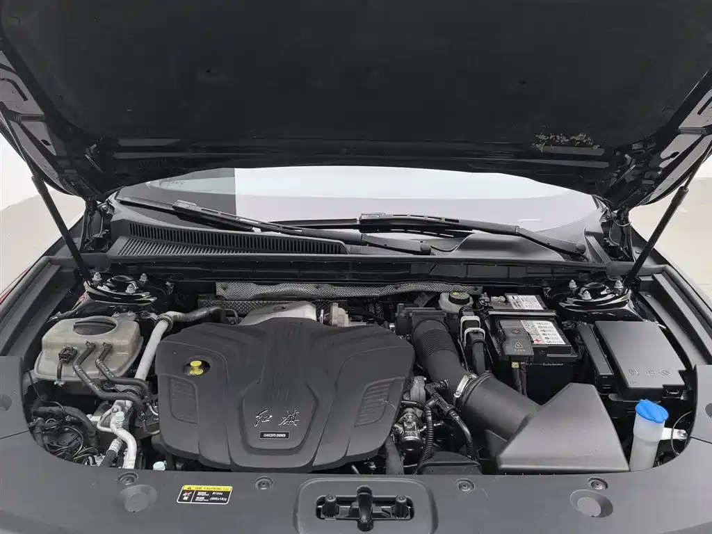Hongqi H5 2023 2.0T Auto Smart Connect Flag Comfort фото 6
