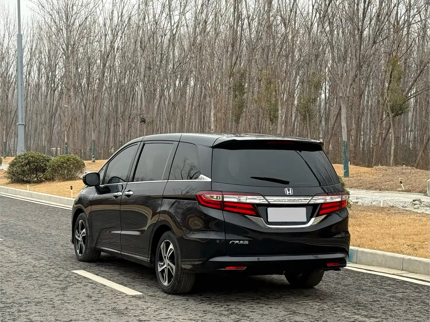 HONDA ODYSSEY