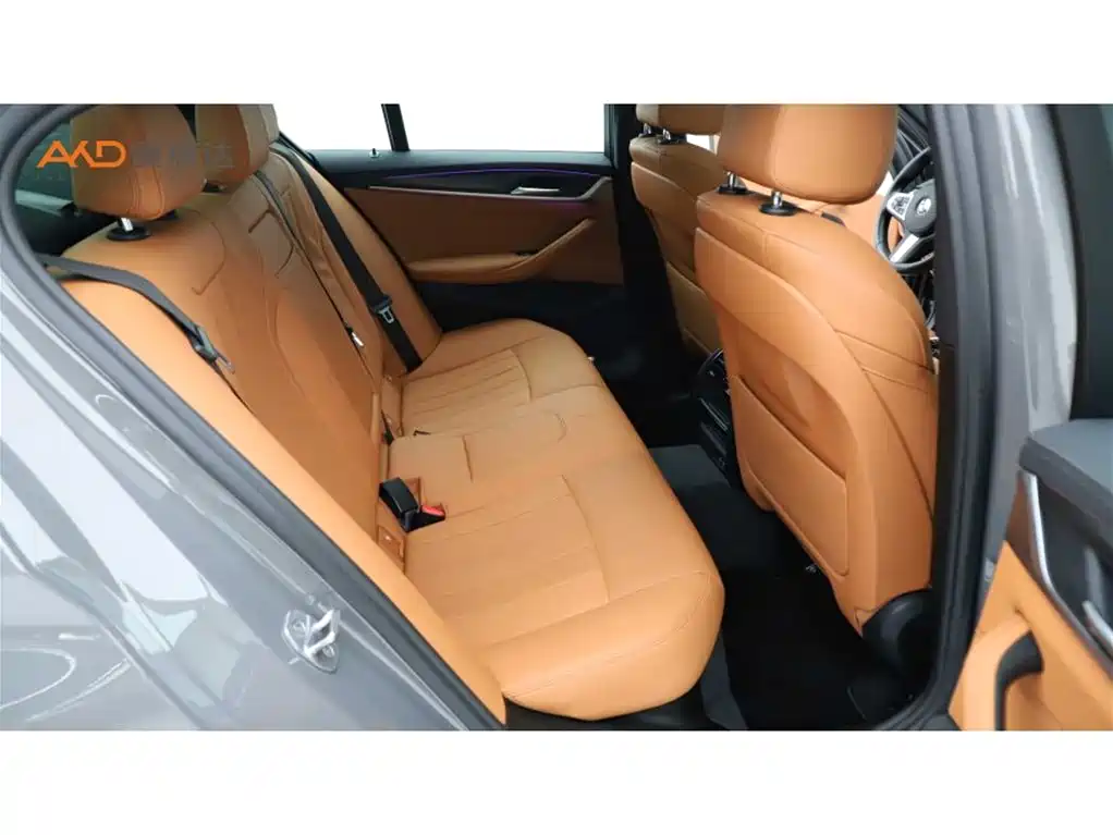 BMW 5 Series (Import) 2021 525i M Sport Package фото 8