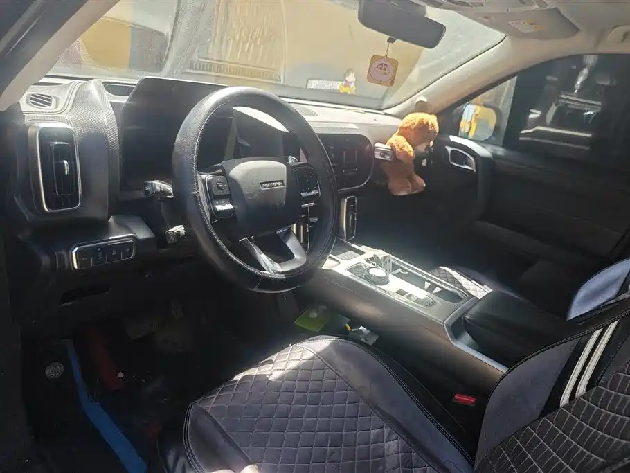 Haval Big Dog 2024 1.5T DCT Border Collie Edition фото 12