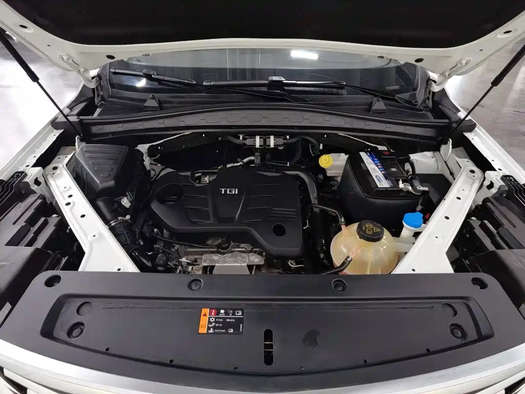 Roewe RX5 MAX 2020 2019 300TGI Auto Smart Cabin Luxury