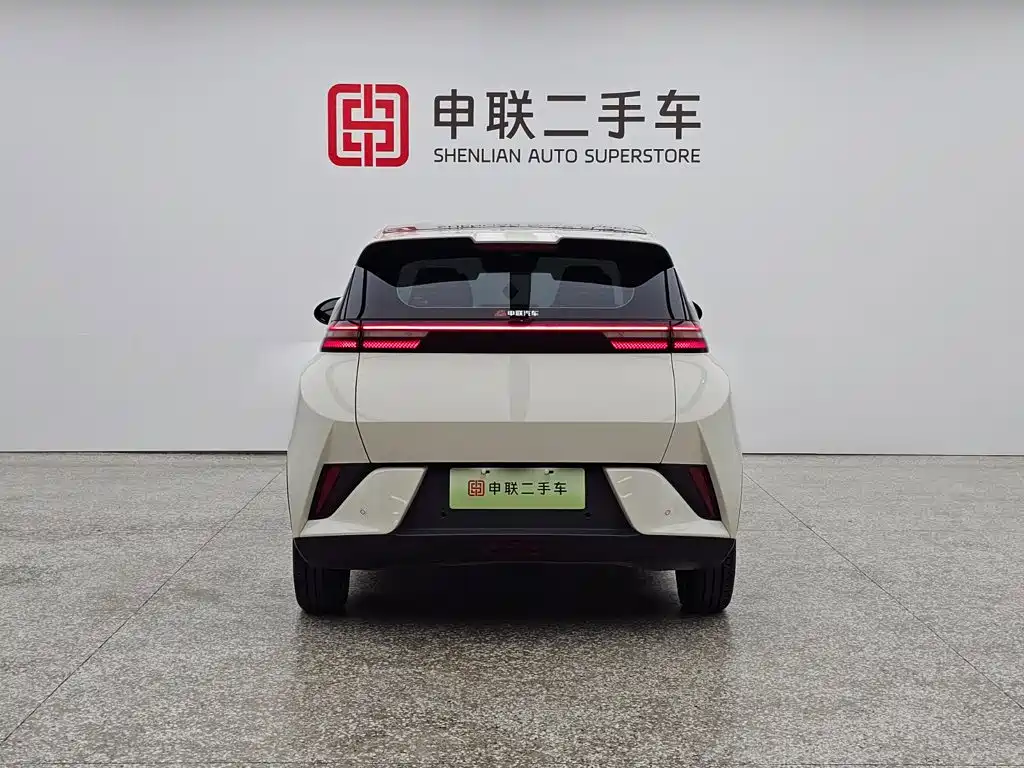 BYD Seagull 2026 2025 Smart Drive Edition 305km Freedom Version