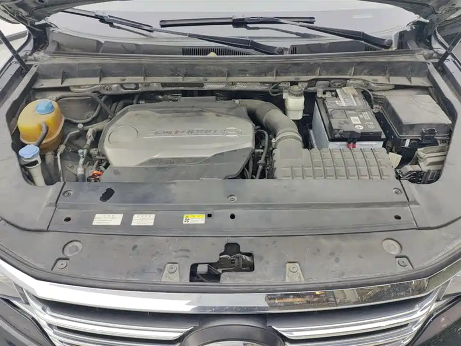 GAC Trumpchi Trumpchi GS8 2017 320T 2WD Luxury Smart Connect (7-seater) фото 10