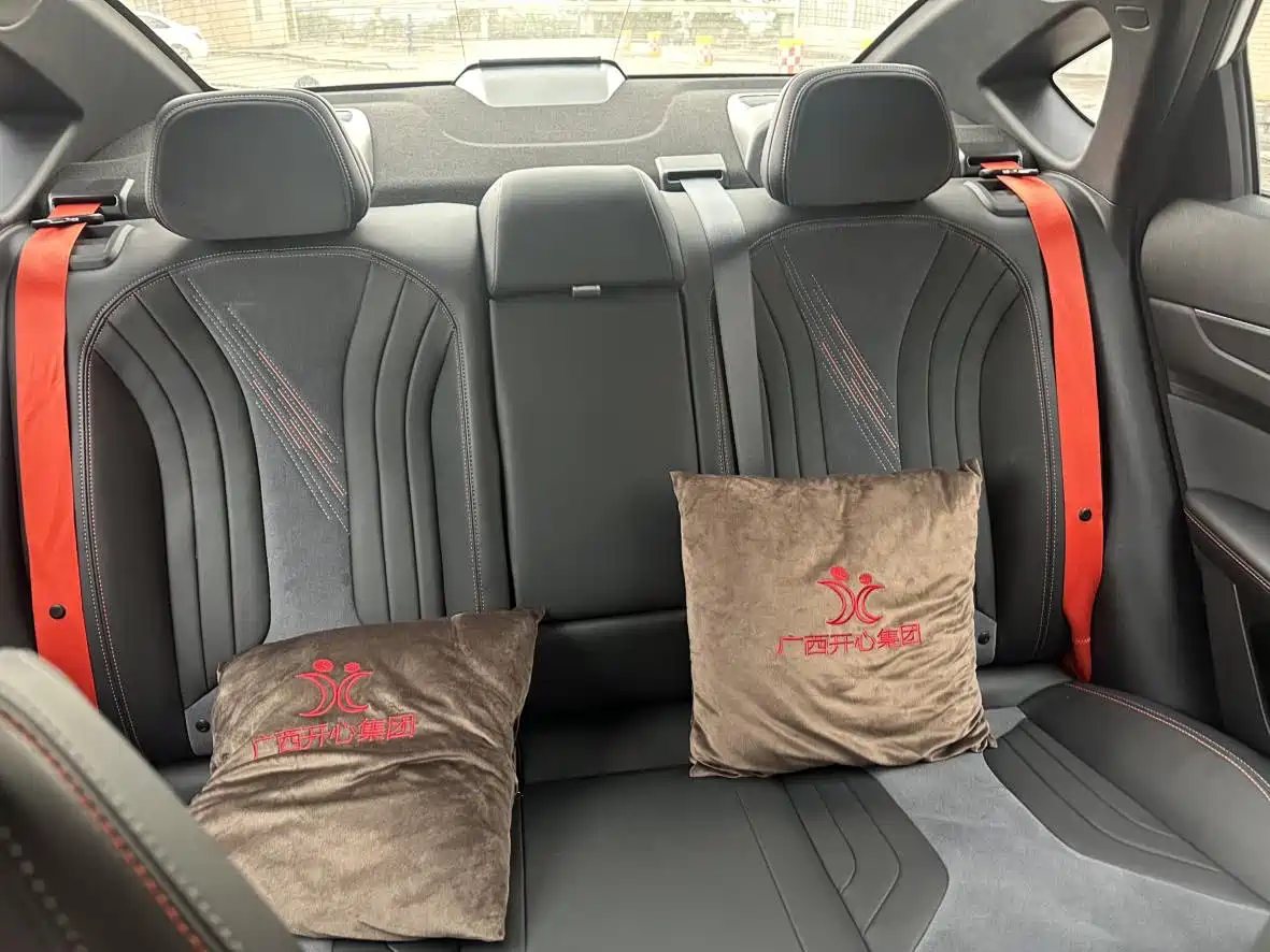 GEELY AUTOMOBILE BINRUI