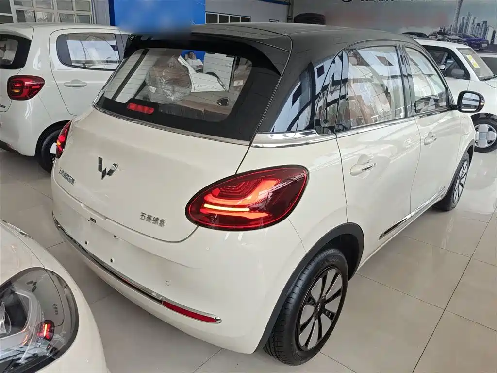 Wuling Motors Wuling Bingo 2026 2025 Model 333km Joy Edition