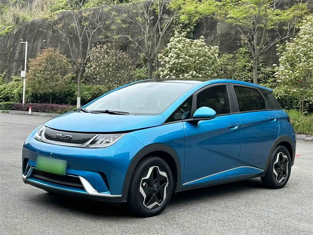 BYD Dolphin 2021 Model 405km Fashion Edition