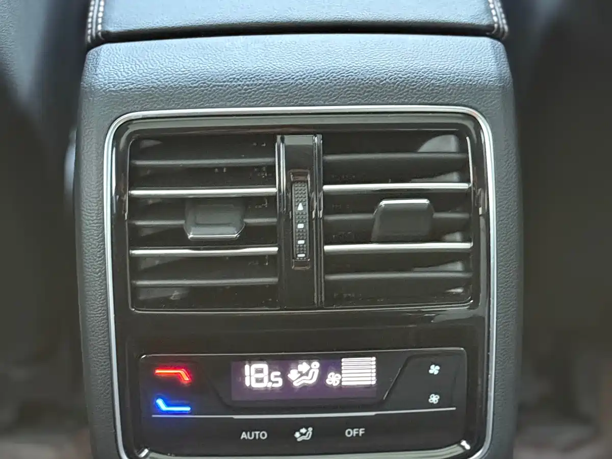 Volkswagen Magotan 2024 2 Million Units Public Sharing Edition 330TSI DSG Luxury фото 9