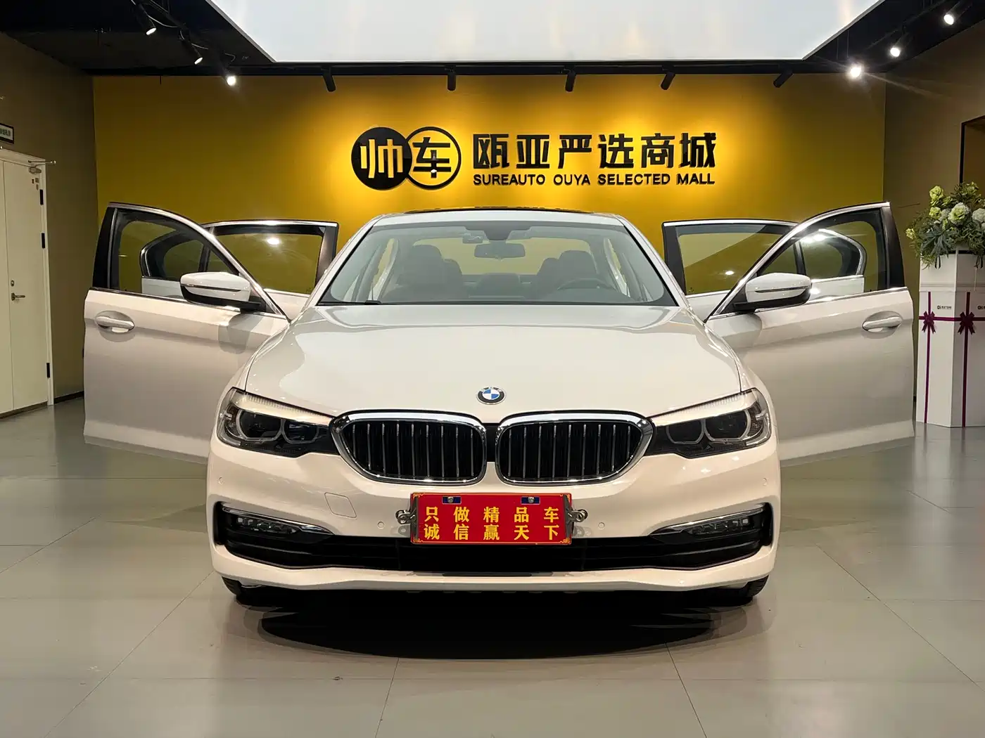 BMW 5 Series 2018 528Li Launch Special Edition фото 9