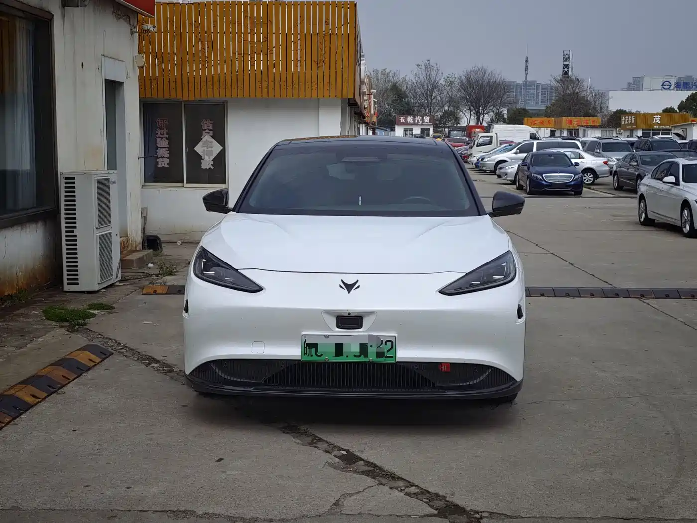 ARCFOX EXTREME FOX POLAR FOX ALPHA S