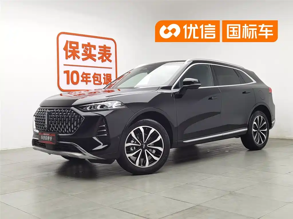 WEY Mocha 2021 2.0T 2WD Extra Rich Edition