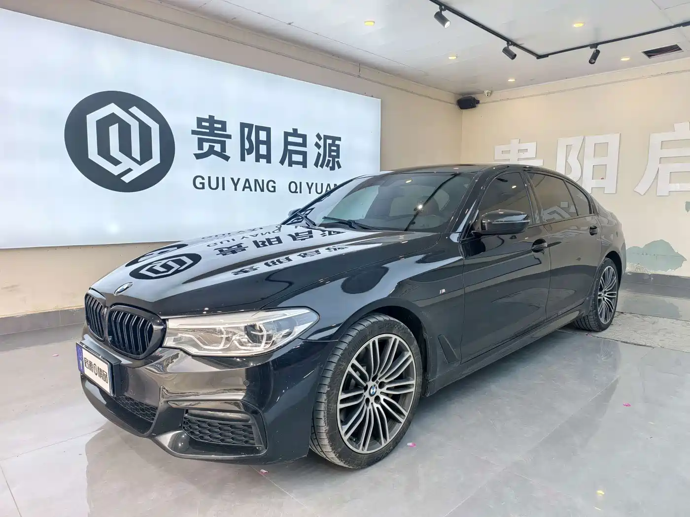 BMW 5 Series 2019 530Li Leading M Sport Package