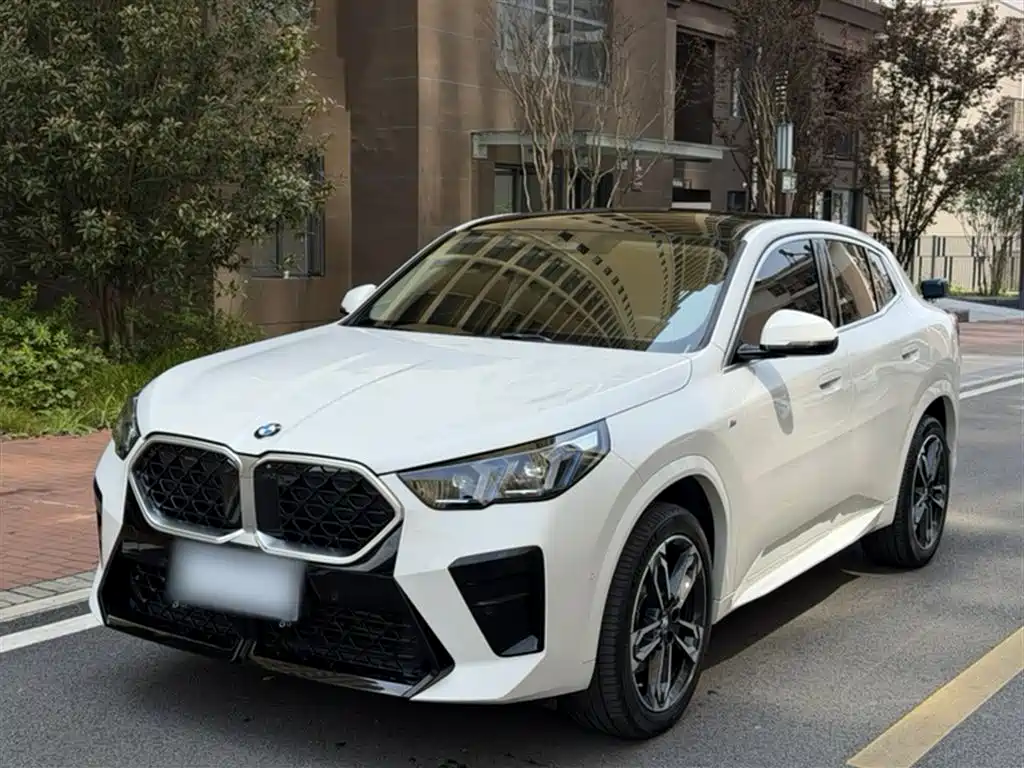 BMW X2 (Import) 2024 sDrive25i M Sport Package фото 2