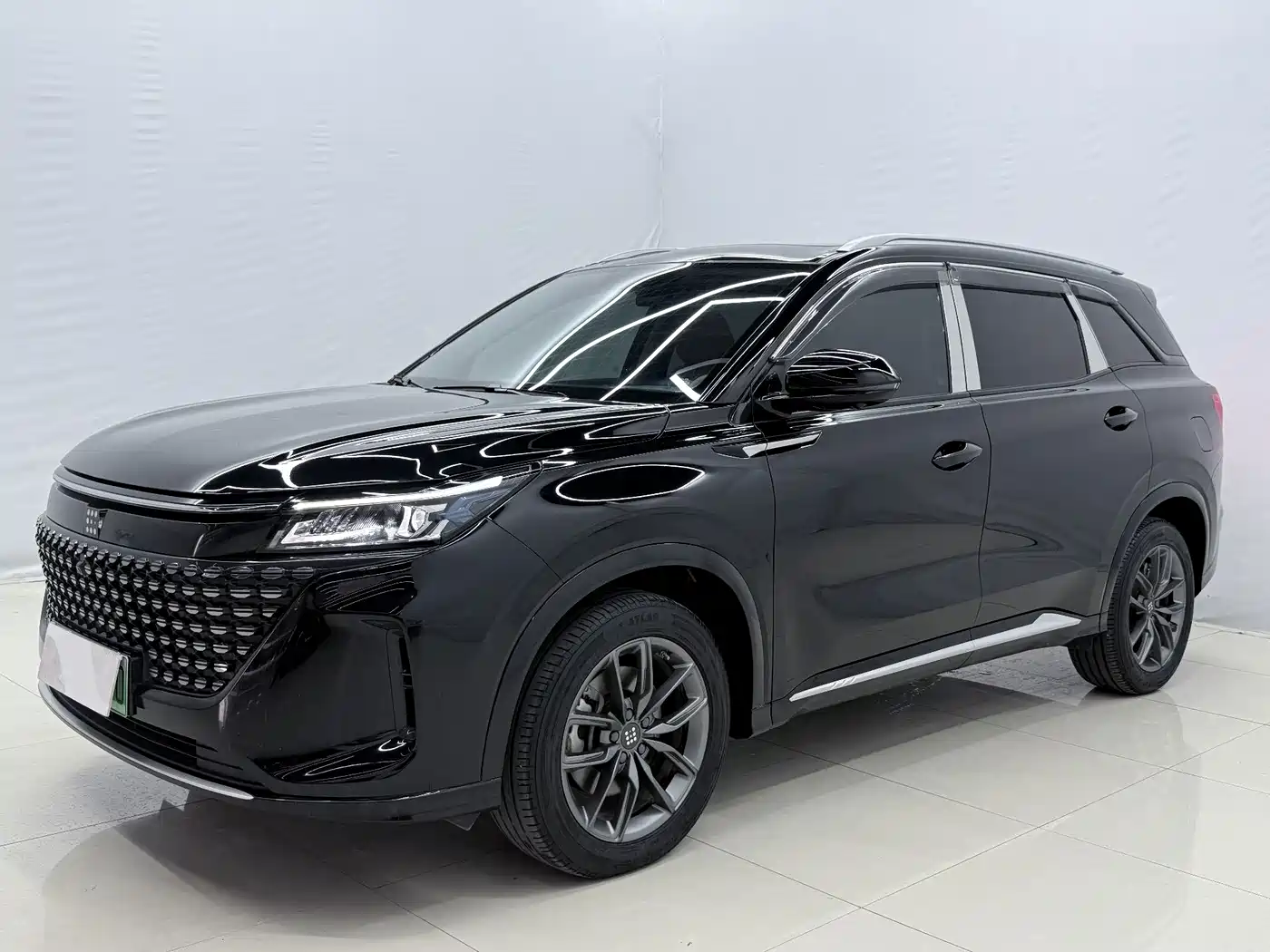 Landian E5 2024 2024 Glory Edition 100KM Premium Type 7-Seater