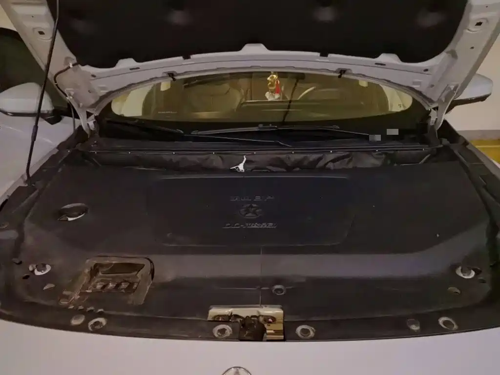 Venucia DaV DD-i 2024 2023 110km iE Edition