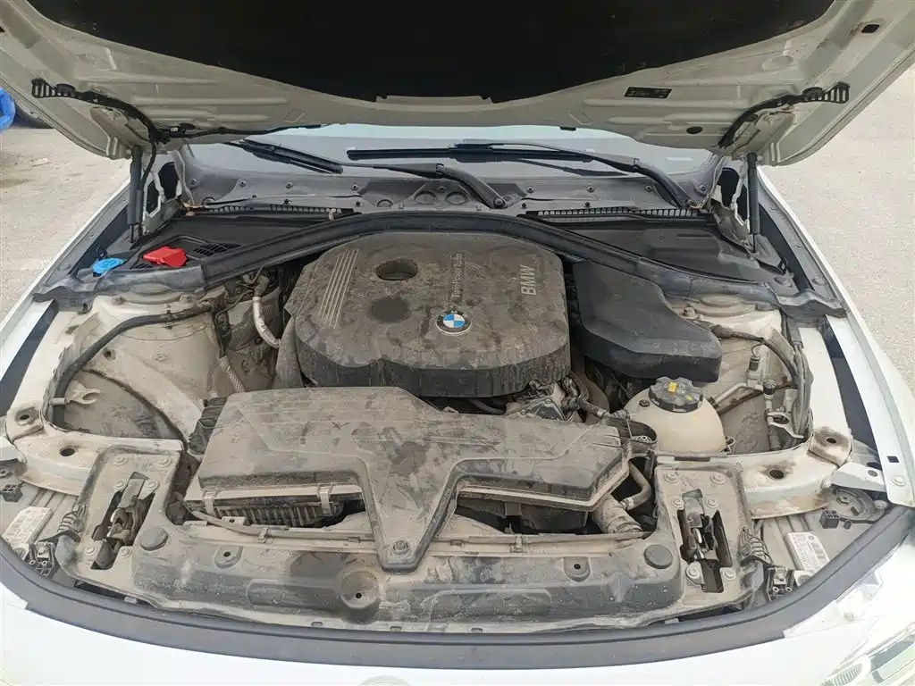 BMW 3 Series 2018 318Li фото 16