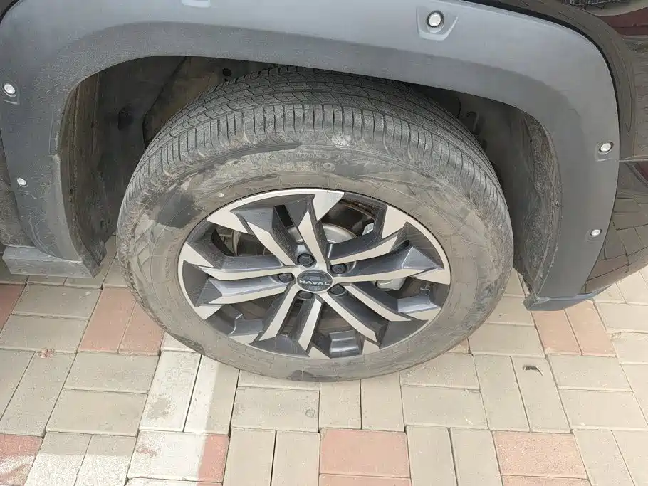 Haval Da Gou 2nd Gen 2024 2023 2.0T 2WD Trendy Off-road Edition Plus