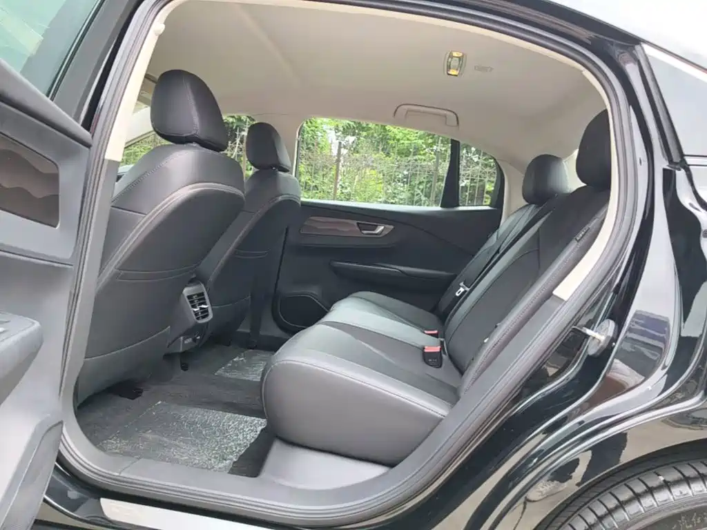 Hongqi E-QM5 2024 2024 Model 450km Travel Edition