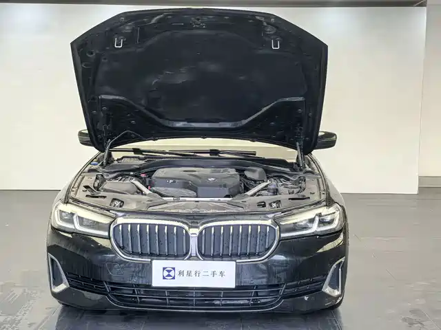 BMW 5 Series 2021 530Li Leading Luxury Package — фото 3
