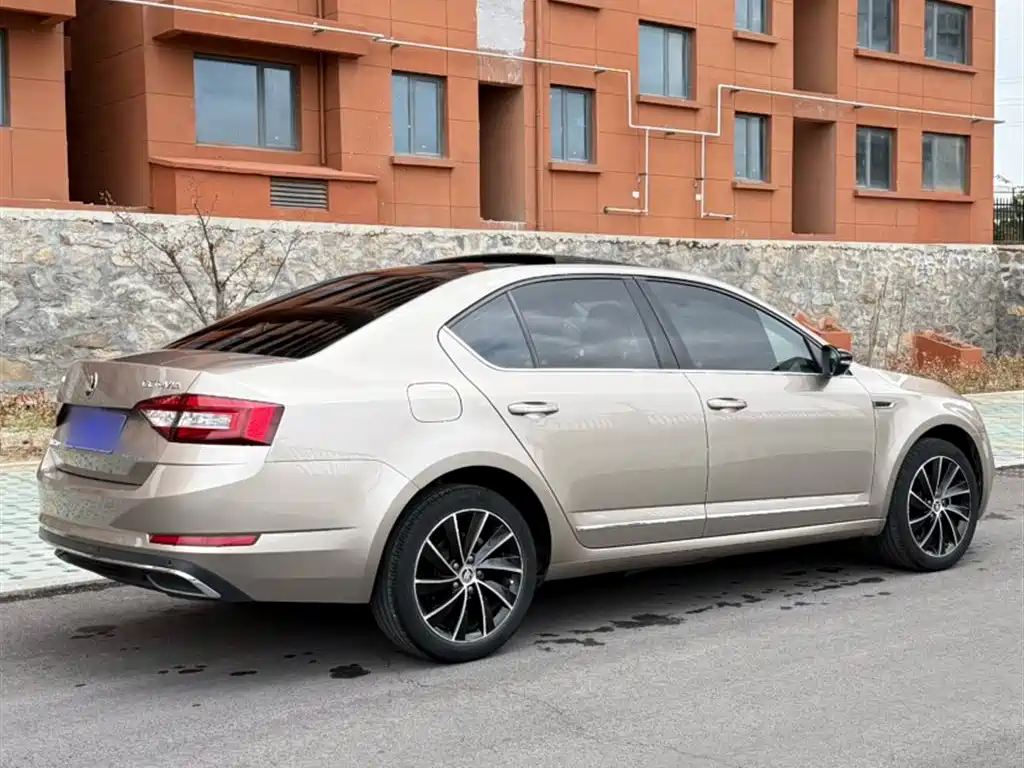 Škoda Octavia 2018 TSI280 DSG Luxury Edition фото 8