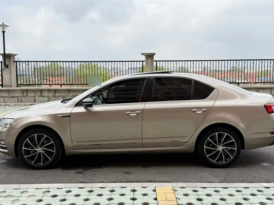 Škoda Octavia 2018 TSI280 DSG Luxury Edition фото 12