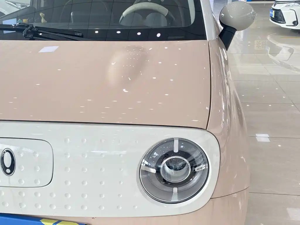 Ora Black Cat 2022 2021 351km Standard Model