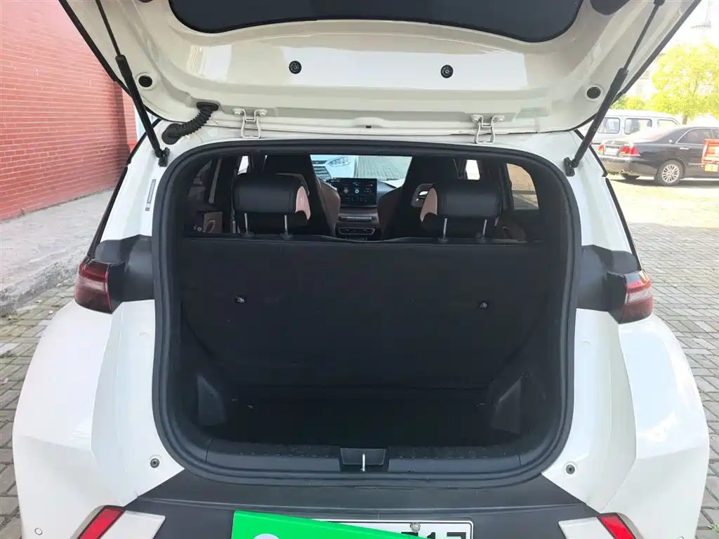 BYD Seagull 2023 Vitality Edition фото 19