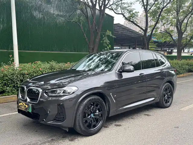 BMW BMW iX3 2023 Leading Type