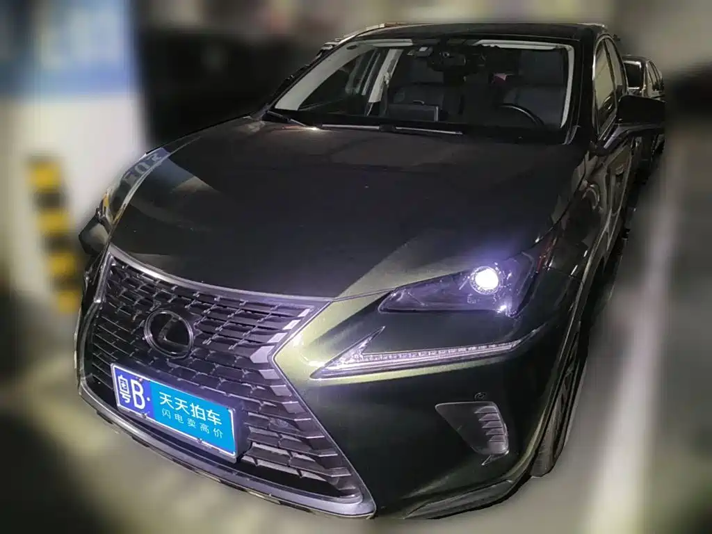 Lexus NX 2020 200 FWD Fengyi Edition China VI