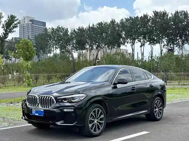 BMW BMW X6 2020 xDrive30i M Sport Package
