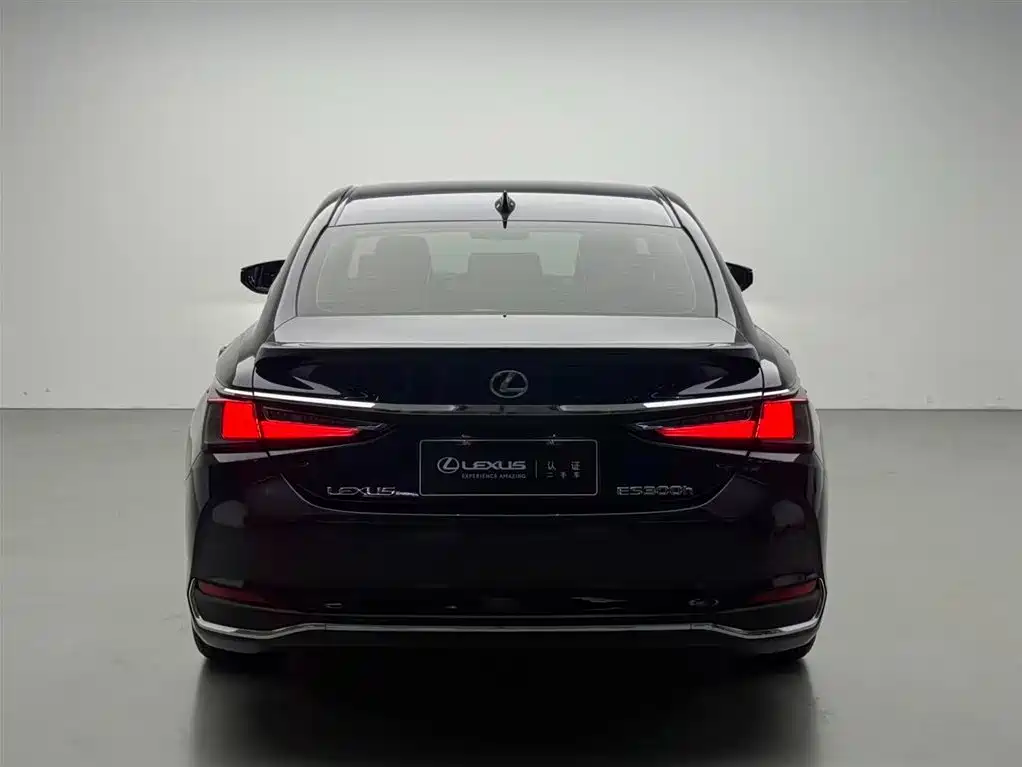 Lexus ES 2018 300h Excellence Edition China V фото 17