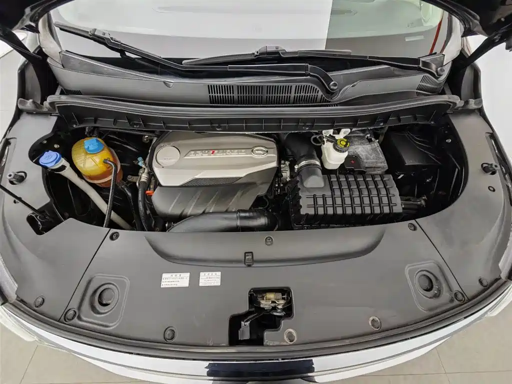 GAC Trumpchi Trumpchi M8 2018 320T Premium Edition фото 6